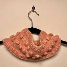 Photo of BIAR Cowl