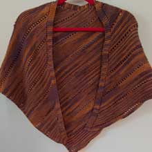 Photo of Knitterbug Shawl